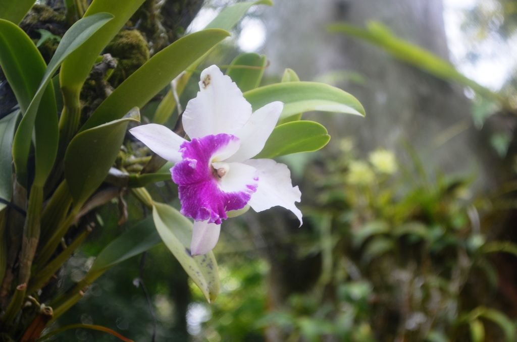  photo DSC_5396_zps7qh4afbv.jpg