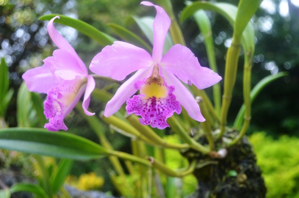  photo DSC_5399_zps9wn9y1v6.jpg