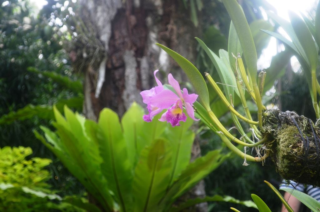  photo DSC_5402_zps5fbxj5zl.jpg