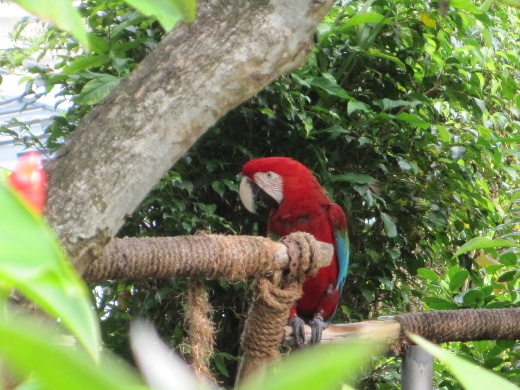  photo IMG_4211_zpszmcj3qtd.jpg