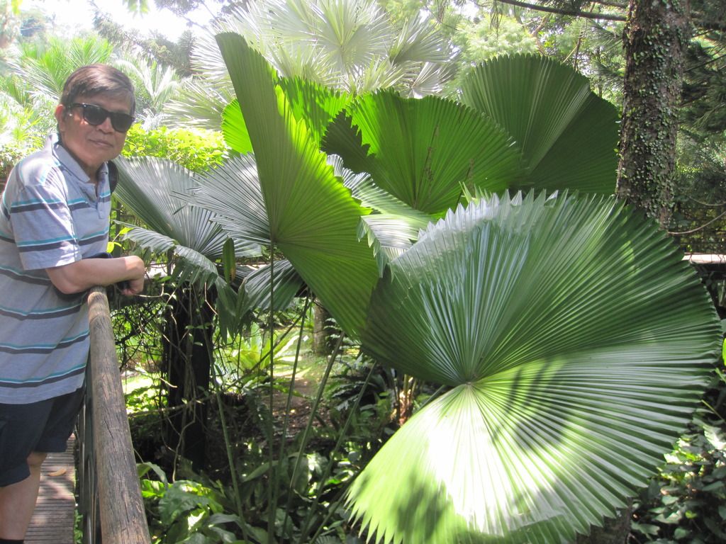  photo IMG_4591_zpszdh9att7.jpg