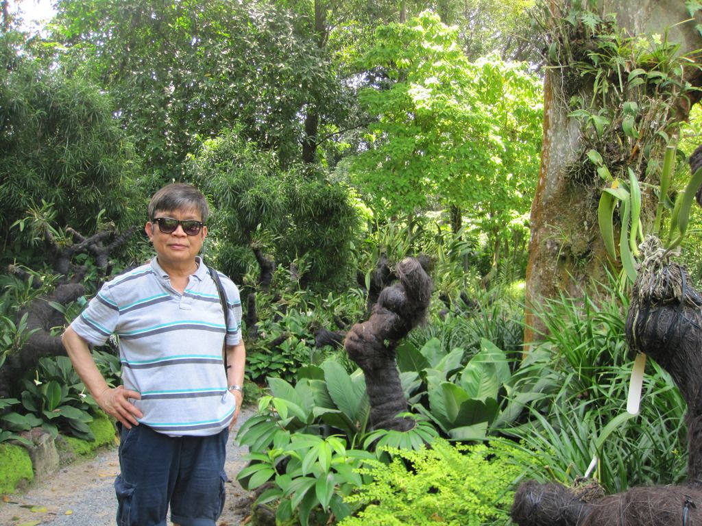  photo IMG_4676_zpsfmlmvwnn.jpg