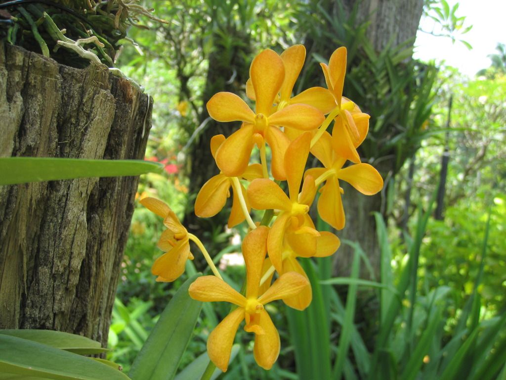  photo IMG_4694_zpscku9cb8z.jpg