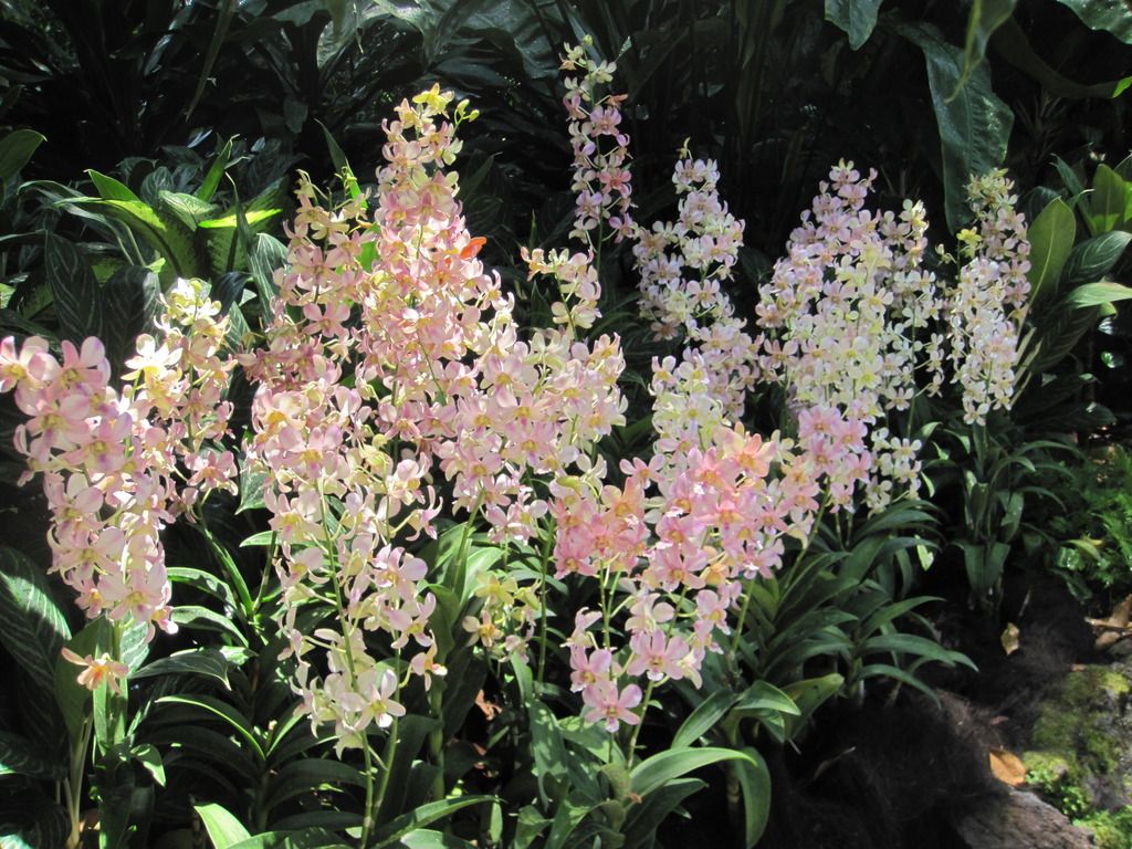  photo IMG_4702_zpsqqthslgq.jpg