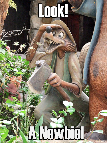 Newbie Finder Pictures, Images and Photos