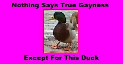 GayDuckII.jpg