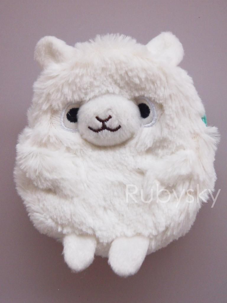 photo P3246930copy_zps72895a50.jpg