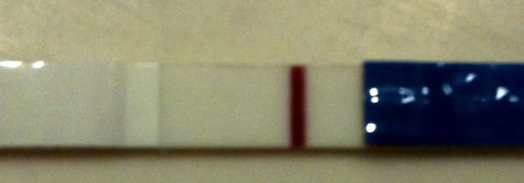 10 mIU,early HPT,11 DPO