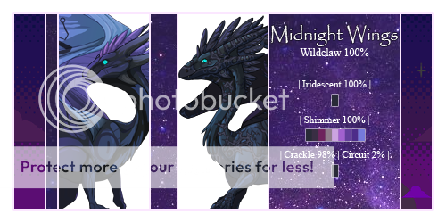 Midnight%20Wings_Pair_zpswohjygy2.png